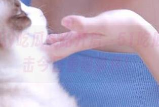 吃瓜线路开启，51吃瓜带你直击今日重磅事件！