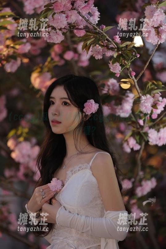 瓜皮无极限，ccgg.me的地址还有谁懂？