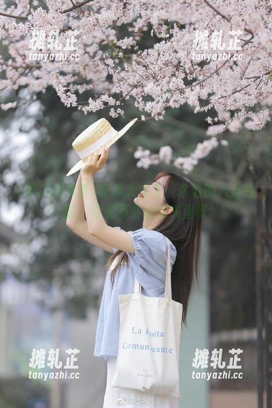 吃瓜大本营：你选的八卦线路，肯定不会让你失望呀