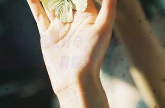 倍感好奇，黑料吃瓜老司机的囤货网址，真能满足我好奇心？