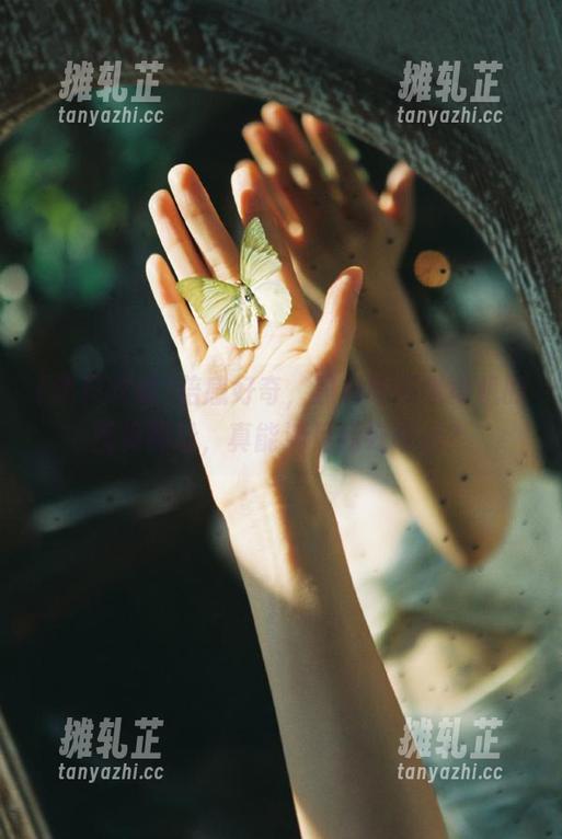 倍感好奇，黑料吃瓜老司机的囤货网址，真能满足我好奇心？