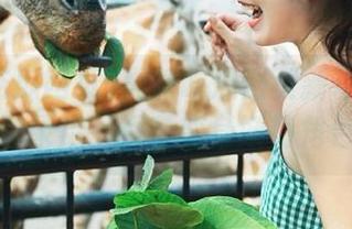 黑料吃瓜网页新功能上线，登录后，探花变身妖艳角色！
