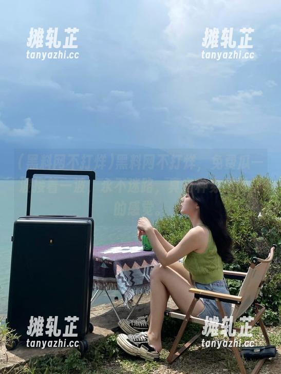 黑料网不打烊，免费瓜一波接着一波，永不迷路，真有种穿越时空的感觉。