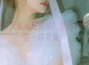 又见疯狂吃瓜！黑网料传送门带您一窥究竟！